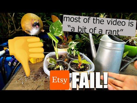 The Ultimate Unboxing Plants From Etsy Review: Is This Seller Worth Your Time?