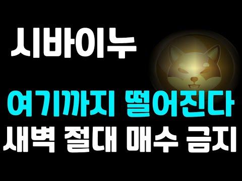 [시바이누] 코인 시장 분석과 매매 전략 가이드