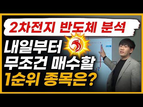 2차전지 AI반도체분석!에코프로,LG화학,POSCO홀딩스,삼성SDI(관심주/2차전지주식)이수페타시스/나무가/뉴프렉스/현대차/현대모비스/자율주행/AI로봇/삼성전자/주식강의/불사조