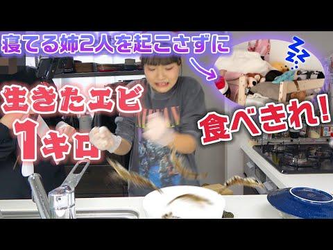 【衝撃】エビ1キロを生きたまま食べる！ロコちゃんとあこちゃんの挑戦！