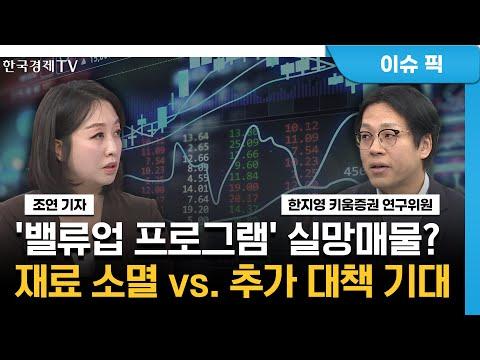 한국 경제 TV: '밸류업 프로그램' 소개 및 전망