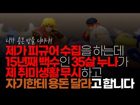 피규어 수집을 통한 재테크, 가족 간 갈등 해소하는 방법