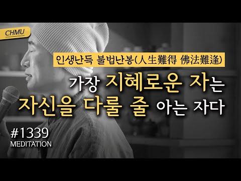 가장 지혜로운 자는 자신을 다룰 줄 아는 자다 - 명상을 통해 인생의 지혜를 찾아가는 여정