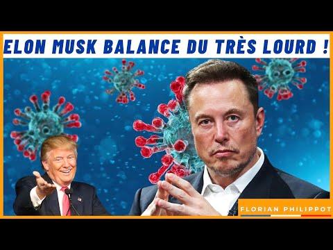 Les révélations choc d'Elon Musk et le combat pour la liberté : Ce qu'il faut savoir !