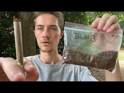 Experience Review: Smoking Aromatic Pipe Tobacco in Cigarette Format