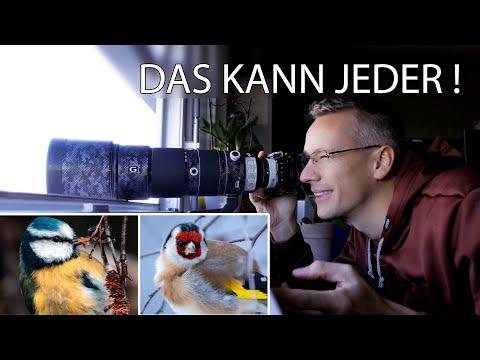 Fotografieren von Vögeln am Fenster: Tipps und Tricks 📸