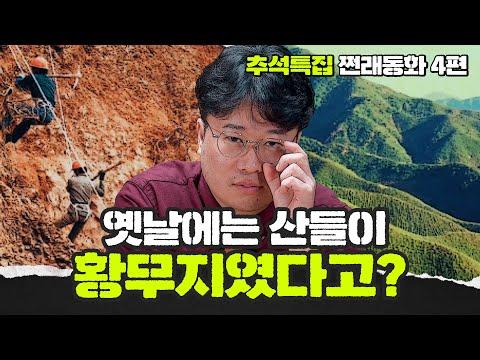 한국의 산림녹화 제도: 성공의 비밀은?