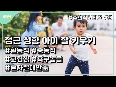 외향성과 보상민감도가 높은 아이들의 특징과 육아 팁