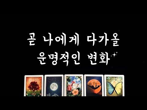 운명적인 변화를 만나기 위한 당신을 위한 조언