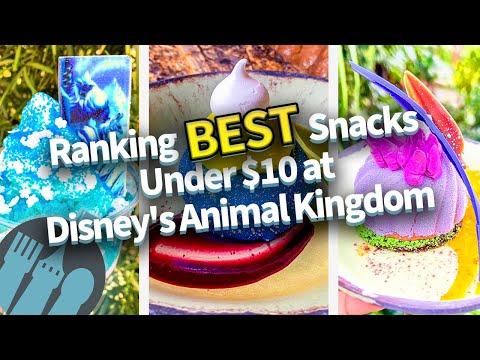 Unveiling the Top Snacks Under $10 at Disney's Animal Kingdom