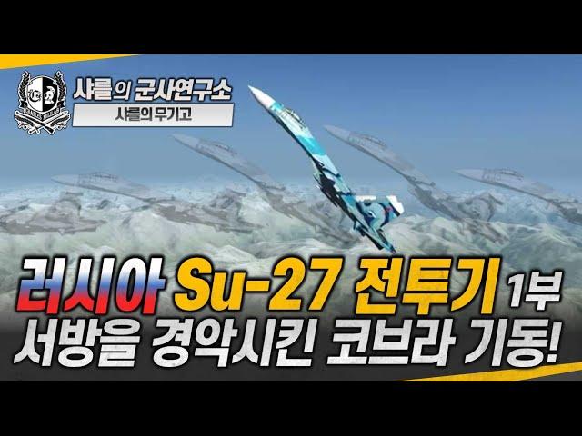 수호 27: 서방을 경악시킨 코브라 기동!