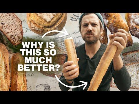 The Bread Battle: Quality Comparison Between French and American Bread