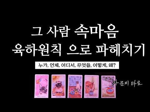 타로 카드를 통해 상대방의 속마음을 파헤치는 방법