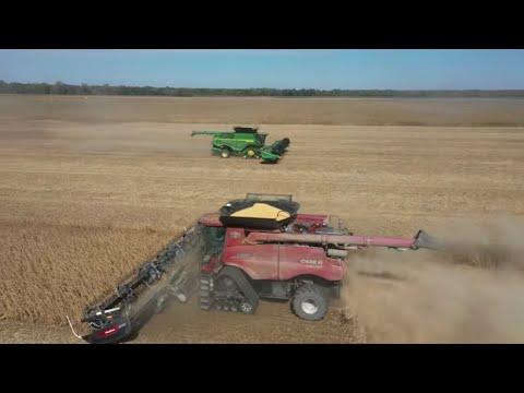 The Farmer's Combine Maintenance: A Day in the Field