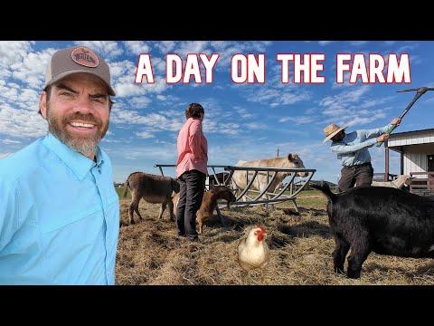 Discovering the Charm of Farm Life: A Day in the Life of a Husband and Wife Duo