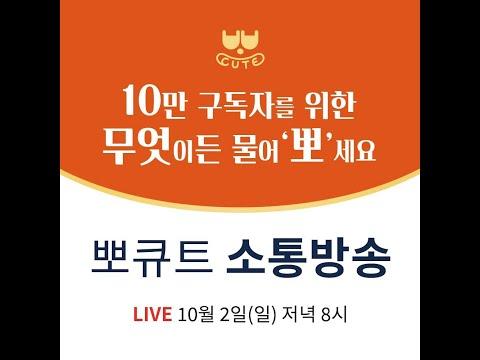 비오는날~연휴중간을 촉촉하게~무엇이든 물어뽀세요!! 라이브입니다~~ SEO 키워드 최적화된 제목