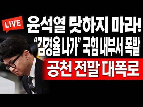 국민의 힘 내부 논란과 민주당 공천 시스템 문제에 대한 분석