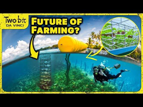The Future of Food: 3D Ocean Farming and Sustainable Aquaculture