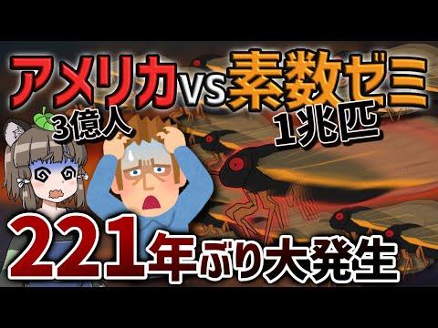 2024年、アメリカでセミが大量発生！1兆匹のセミが現れる可能性とは？