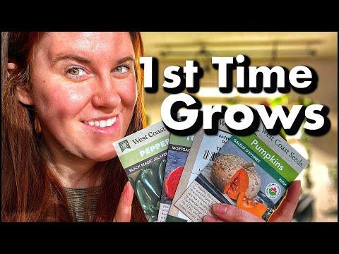 Maximizing Your Garden Seed Haul for a Sustainable Food Supply
