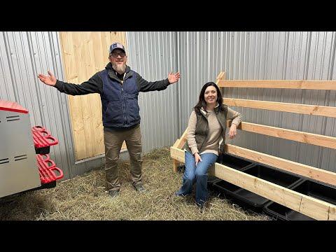 Revolutionary Chicken Coop Design: A Game-Changer for Poultry Enthusiasts