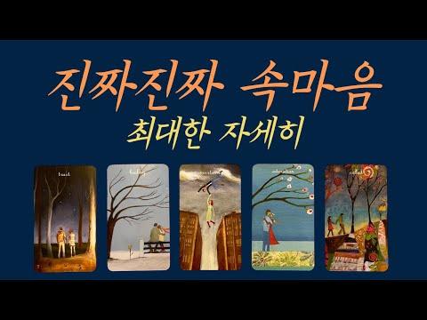 [타로/애정] 진짜 속마음/재회/연락/짝사랑 - 심층 분석 및 FAQ