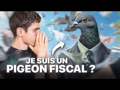 Pourquoi je paye mes impôts en France - Découvrez les raisons cachées