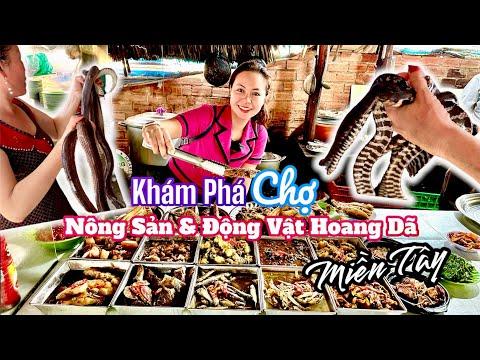 Exploring the Local Market in Thanh Hóa: A Culinary Adventure in Long An Province