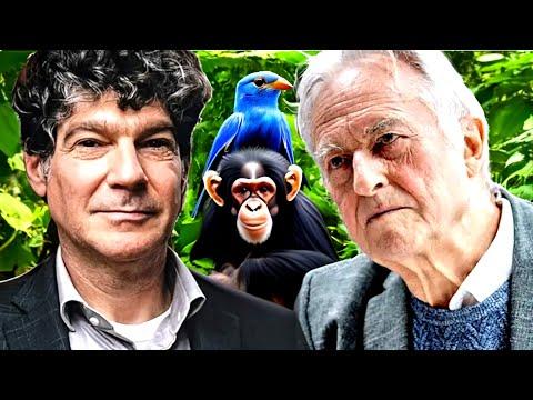 Unraveling Evolutionary Debates: A Clash of Perspectives between Richard Dawkins and Bret Weinstein