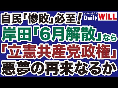 政治情勢を解説：自民党の敗北と政権交代の可能性