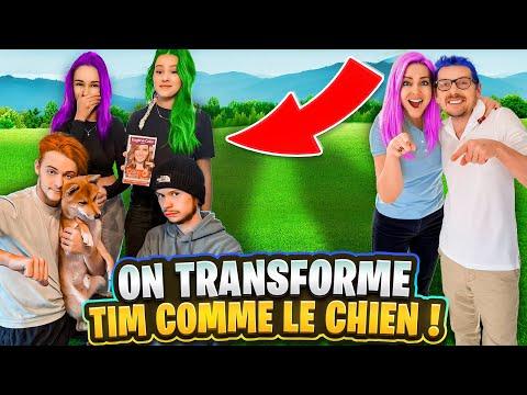 Transformation Capillaire de Tim : Un Défi Canin Inattendu !