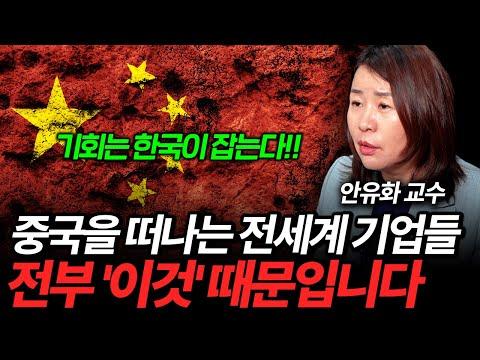 중국 경제 위기: 안유화 교수의 경고와 외국 투자의 전망