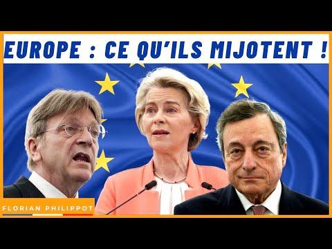 Sortie de l'Union européenne : un projet controversé en débat