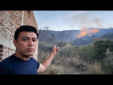 Impacto devastador del incendio en el cerro: ¿Qué podemos hacer?