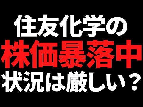 住友化学の株価暴落に関する最新情報と展望