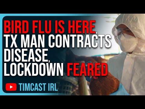 Uncovering the Mysteries of the Bird Flu Outbreak in Texas