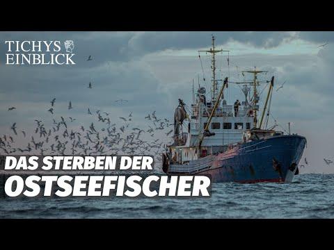 Die Zukunft der Ostseefischerei: Herausforderungen und Chancen
