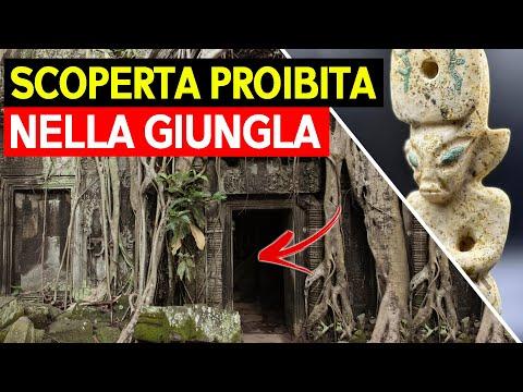 Incredibile scoperta di antiche strade nascoste nella giungla amazzonica