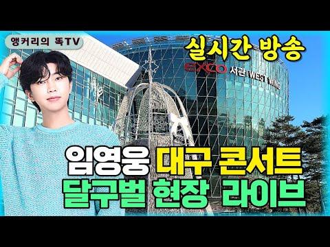 임영웅 대구 콘서트: 팬들의 열정과 감동