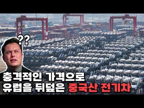 중국산 전기차 시장 분석 및 전망