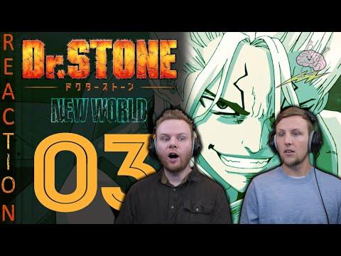 Unraveling the Mysteries of Dr. Stone: A Signal from the Past