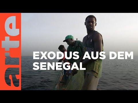 Der Exodus der Fischer im Senegal: Eine traurige Realität enthüllt