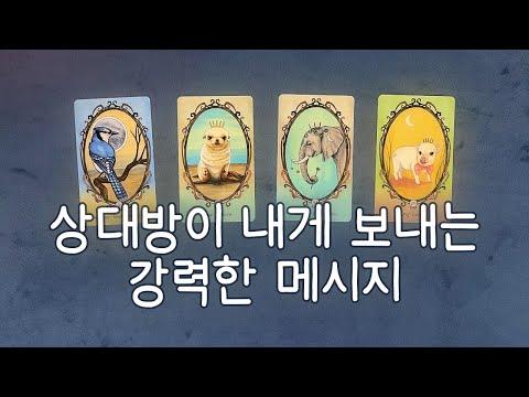 강력한 타로 메시지로 알아보는 상대방의 진심