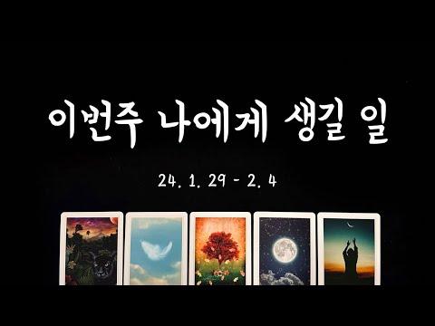 [타로] 이번주의 운세와 예측