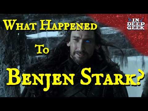 The Mysterious Disappearance of Benjen Stark: What Really Happened?