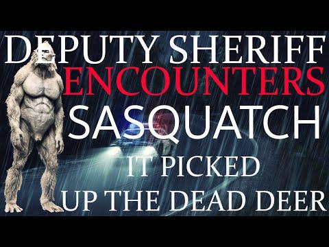 Missouri Ex-Sheriff's Encounter with Mysterious Creature