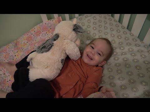 Smooth Transition to Toddler Bed: Tips and Insights for Parents
