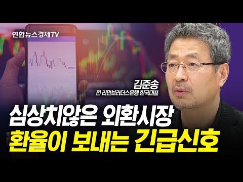 외환시장의 심상치 않은 신호: 환율 변동으로 인한 영향과 대응 전략