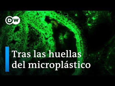 Los Peligros del Microplástico: Impacto en el Medio Ambiente Urbano