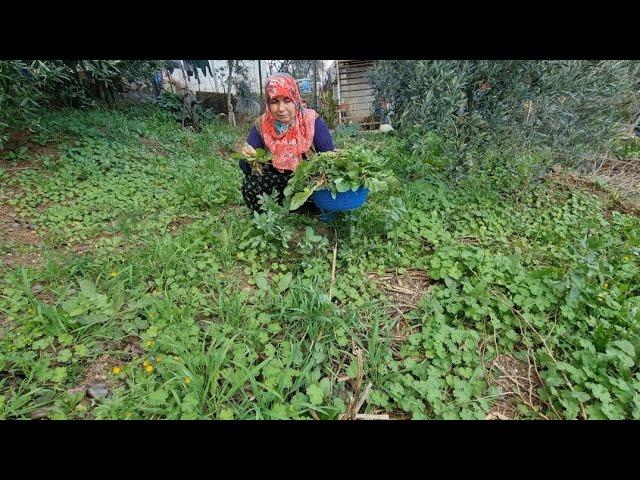 Discovering the Delights of Foraging Wild Plants in Izmir Gardens